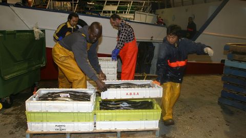 La flota perdería parte de los caladeros donde barcos de Celeiro y Burela, sobre todo, capturan las valoradas merluzas del pincho y, un poco menos, de volanta de fondo