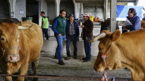 El ambiente estuvo animado en la feria de ganado de Castro Caldelas desde primera hora.