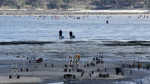 El marisqueo a pie es una de las actividades más relevantes del sector primario en la ría de Pontevedra