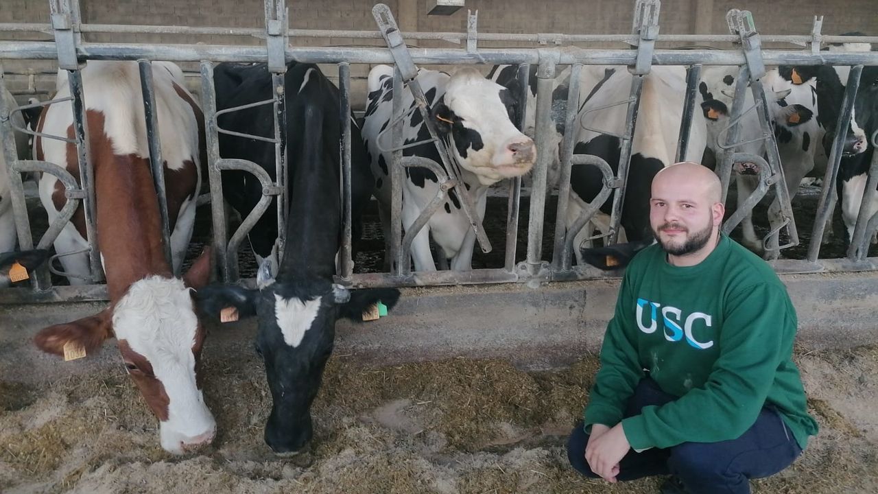 David ten a sa gandara en Mann, unha aldea de Sarria, onde traballa de veterinario en 90 granxas