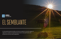 Juanjo Menndez estrena 'El semblante', un documental que, a lo largo de cinco aos, ha recogido testimonios de ganaderos, antroplogos y escritores sobre el da a da en los pastos altos del Principado, el trnsito de los animales y el destino de un modo de vida amenazado por el progreso