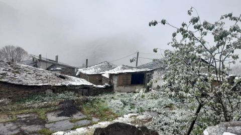 La nieve cay durante la maana de este martes en Meiraos (en la imagen) y en otras localidades de la sierra de O Courel, aunque no lleg a cuajar