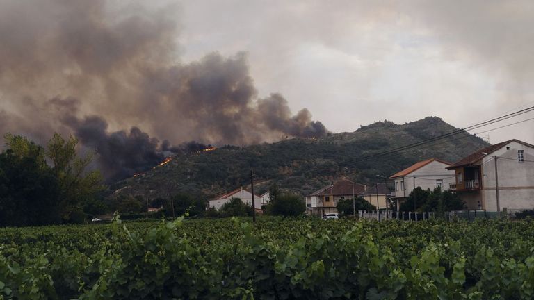 La jueza de Verín deja en libertad al detenido por provocar el incendio forestal de Oímbra