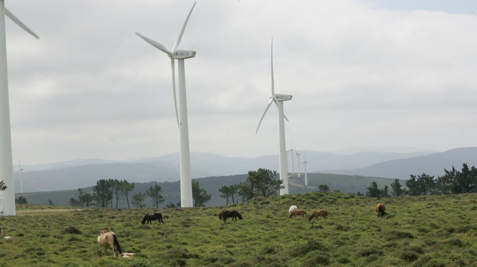 Un parque e�lico en As Pontes, en foto de archivo