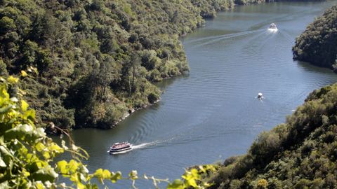 Uno de los fines del plan de movilidad sostenible es limitar la huella ambiental de las rutas tursticas fluviales y de otros medios de transporte