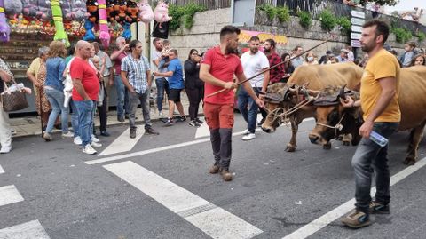 Por la tarde se celebró el desfile de carros y «xugadas tradicionais».