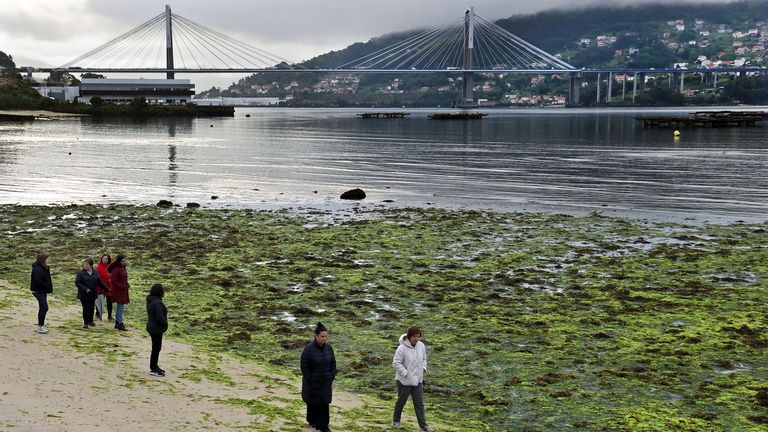 Las lluvias dejan improductivo el fondo de la ría, pero Vigo y Baiona salen a flote