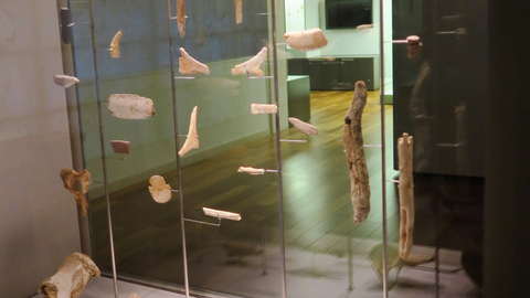 Las piezas que representan cada signo del zodiaco expuesto en el Museo Arqueol�gico de Asturias