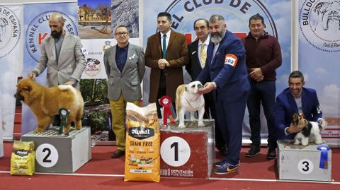 III Exposicin Internacional Canina de Ponte Caldelas