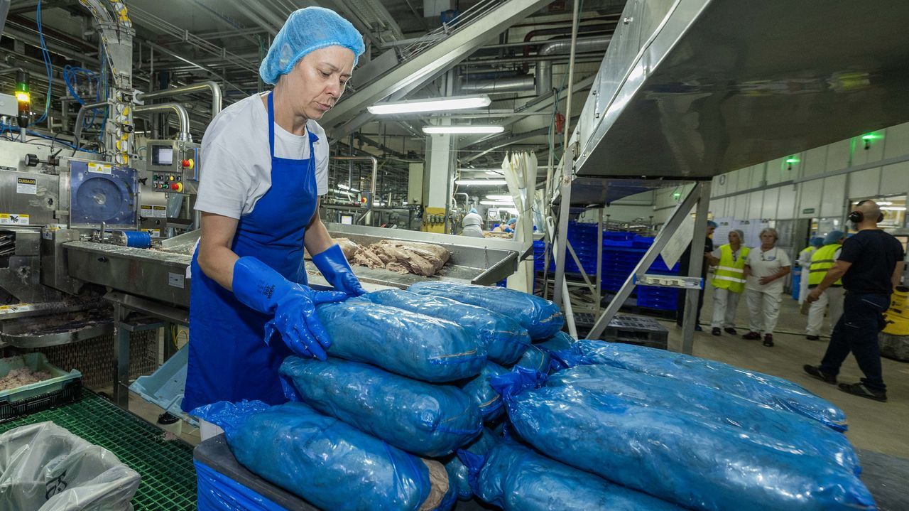 Conservas Calvo, grupo Nauterra.Cristina Prieto y su marido, �scar Loureiro, de la empresa A Tra��a, en la subasta de pescado del d�a de la lonja de Cedeira.