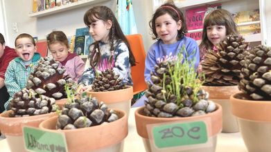 Los alumnos del centro realizaron diversos trabajos relacionados con la vegetación de su entorno