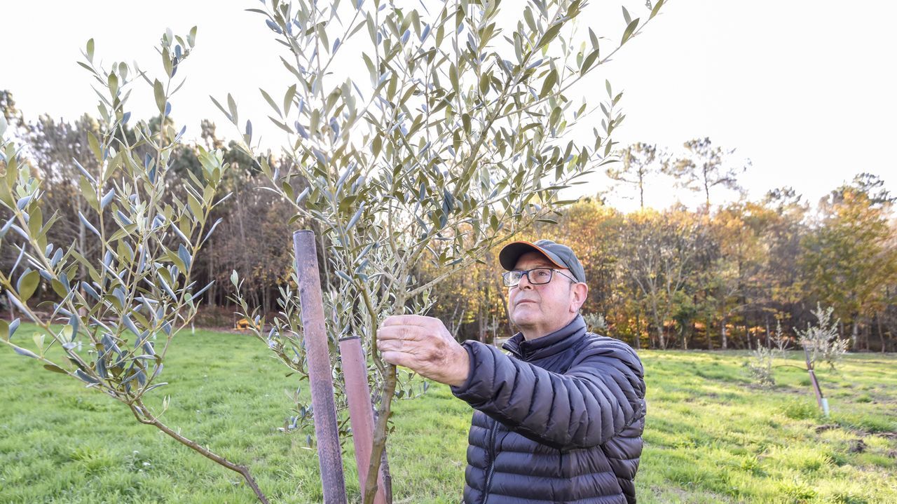 La narcolancha precintada y guardada en la nave municipal de Os Muíños horas después de ser sustraídos los cuatro potentes motores.