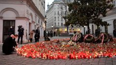 El presidente austraco, Sebastian Kurz, deposita una vela en la zona donde se produjo el atentado en Viena