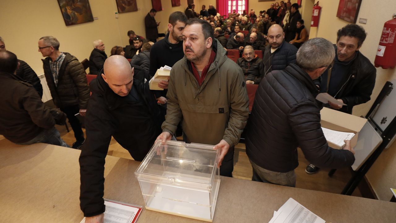 Bscate en la Festa do Porco Celta en Sarria.Vendimia en la via de Camio Novo, de la que sale el vino destcado por la Gua Pen