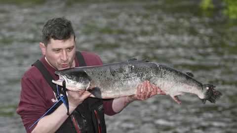 Amedrentador Educación Nueva llegada El cupo máximo de pesca de salmón en el Ulla se reduce a 30 ejemplares