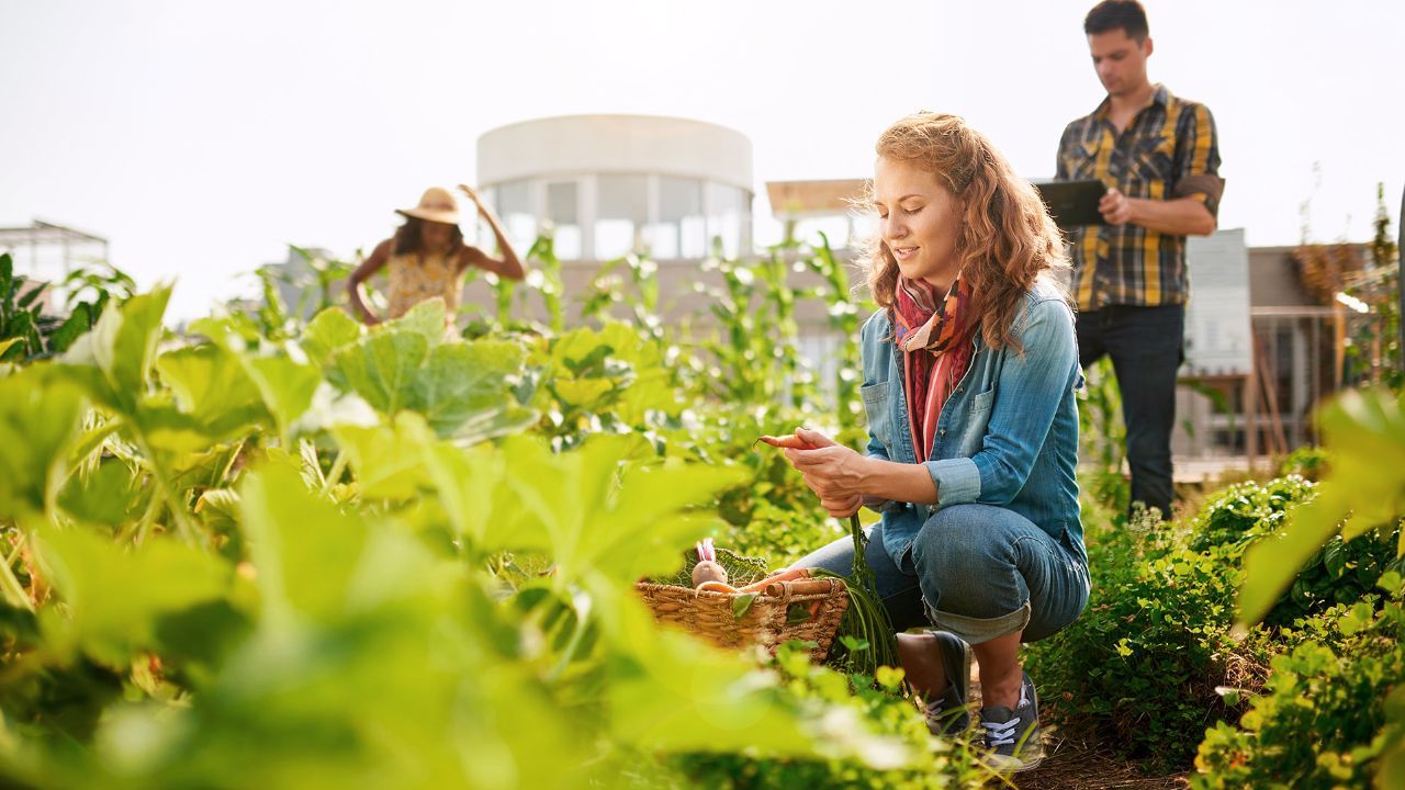 El buen tiempo y el alivio de restricciones atrae peregrinos a Santiago.Keiko Fujimori, durante la noche electoral