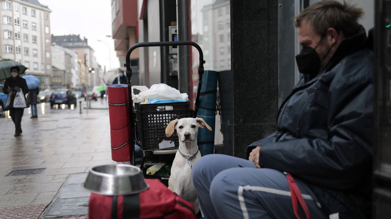 Gerardo se qued� en la calle en el estado de alarma y desde que rescat� a Lisa, una perra que encontr� atada y moribunda, no volvi� a dormir bajo techo porque los albergues no aceptan a los animales de compa��a..�scar Freire, cabo do parque de Bombeiros de Lugo, asumiu a direcci�n de Protecci�n Civil