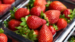 Las fresas contaminadas provenientes de Marruecos no representan una alerta seg�n la OCU.