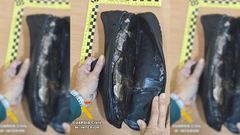 Imagen del interior del zapato del hombre de 68 detenido este jueves en el puerto de Almera.