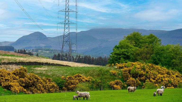 Iberdrola cerró 2025 con una cifra récord de electricidad suministrada
